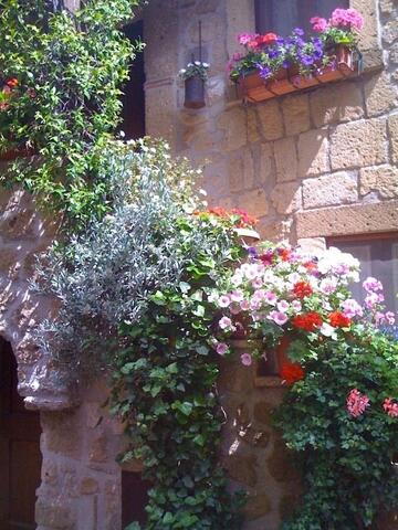 Flowers line the narrow streets